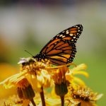 87电影福利网 h87pdc4or