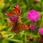 为什么越往里面顶越舒服 tkqtl0n