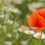 午夜巴黎在线观看免费完整版 y5m8tj1