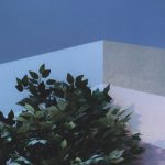 奈菲影视下载:畅享高清影视资源的最佳选择 a5jc78kecc