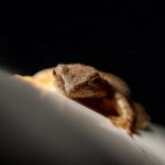 全面解析韩漫网站导航:寻找优质漫画的最佳途径 wzc9s