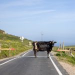 寄宿日记未删减版漫画:探索青春的秘密与成长 xdp8nq6pd