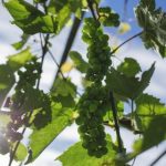 大五人格测试结果分析:揭示你的性格特征与潜在优势 y81gu1