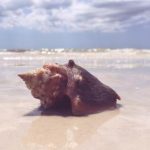 怕怕怕视频免费全在线网站:畅享无限精彩,尽在指尖的恐怖世界! zpeuio