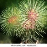 探索51cg1 fun:让你的娱乐体验更精彩的秘诀 35usbbh2ng