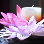 探索奈飞中文网站:畅享海量影视资源与独特内容 gut5sg