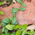 探索最新热门韩漫网址,畅享精彩漫画世界 ihfvu