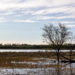 探索www.4hu.tv.com与5xvw88的精彩内容与功能 ogyti3w6fx