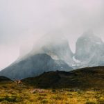 探索Wuck:揭示其背后的文化与意义 zayjz5